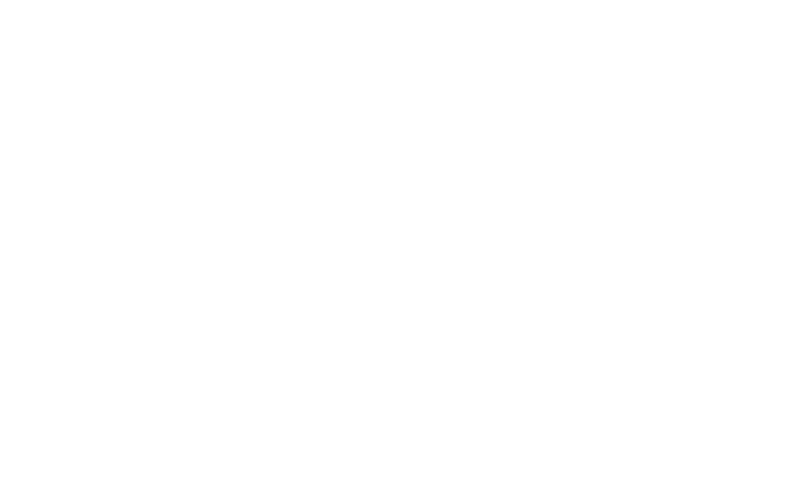 Wellelanmag